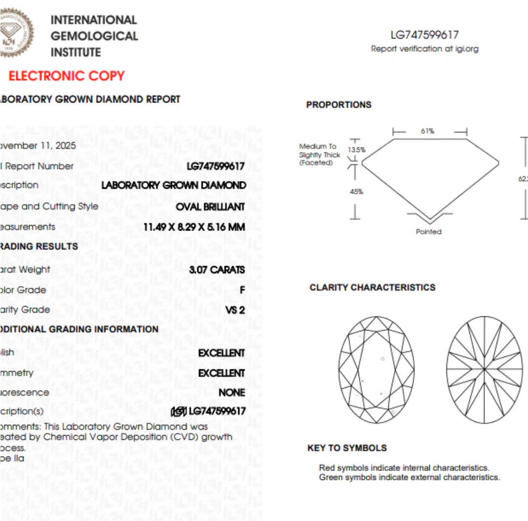 3.07ct 14K White Gold Oval Diamond Engagement Ring
